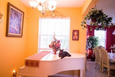 Title on Photo and Gallery shortcode